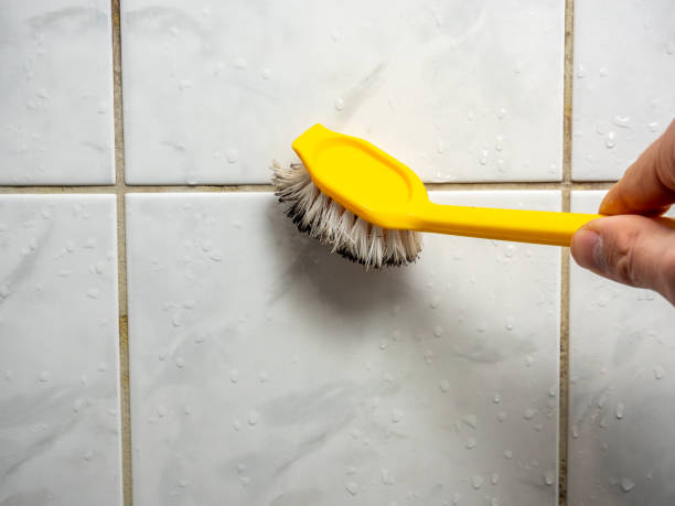 Best Commercial Mold Remediation in Winston Salem, NC
